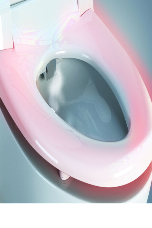 What is the Best Toilet Seat Warmer Bidet? LivingStar