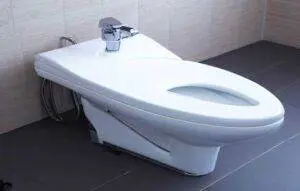 tankless bidet toilet seat - image