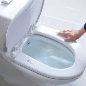 tankless toilet bidet seat - tankless is quiet