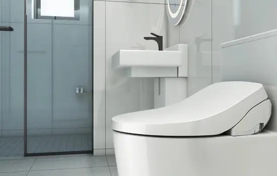 Smart Bidet Toilet Offers You Great Smart Washes | Living Star