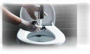 How to clean bidet seat - Step by Step 