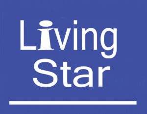 electronic bidet toilet seat - living star logo
