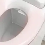 Convenient toilet bidet - heated seat