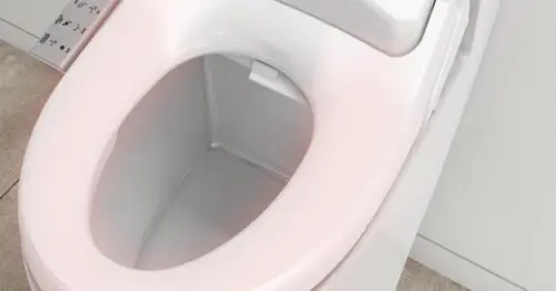 Convenient Bidet Toilet Living Star Bring You Comfort