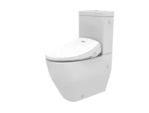 Bidet Toilet Seats - Living Star 5900