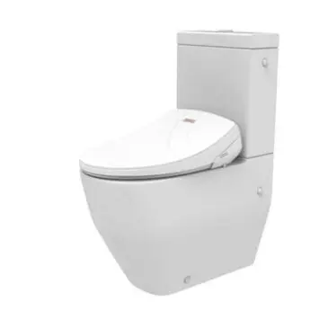 Automatic Wash Elongated Toilet Seat | Easy Use, Affordable