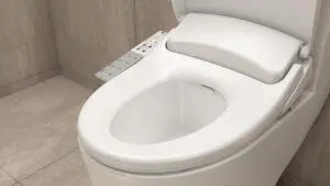 unique gifts - a bidet seat for your father