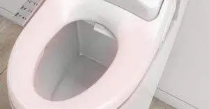 RV Toilet Bidet Seat - heated bidet seat 