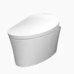one size bidet - elongated toilet image